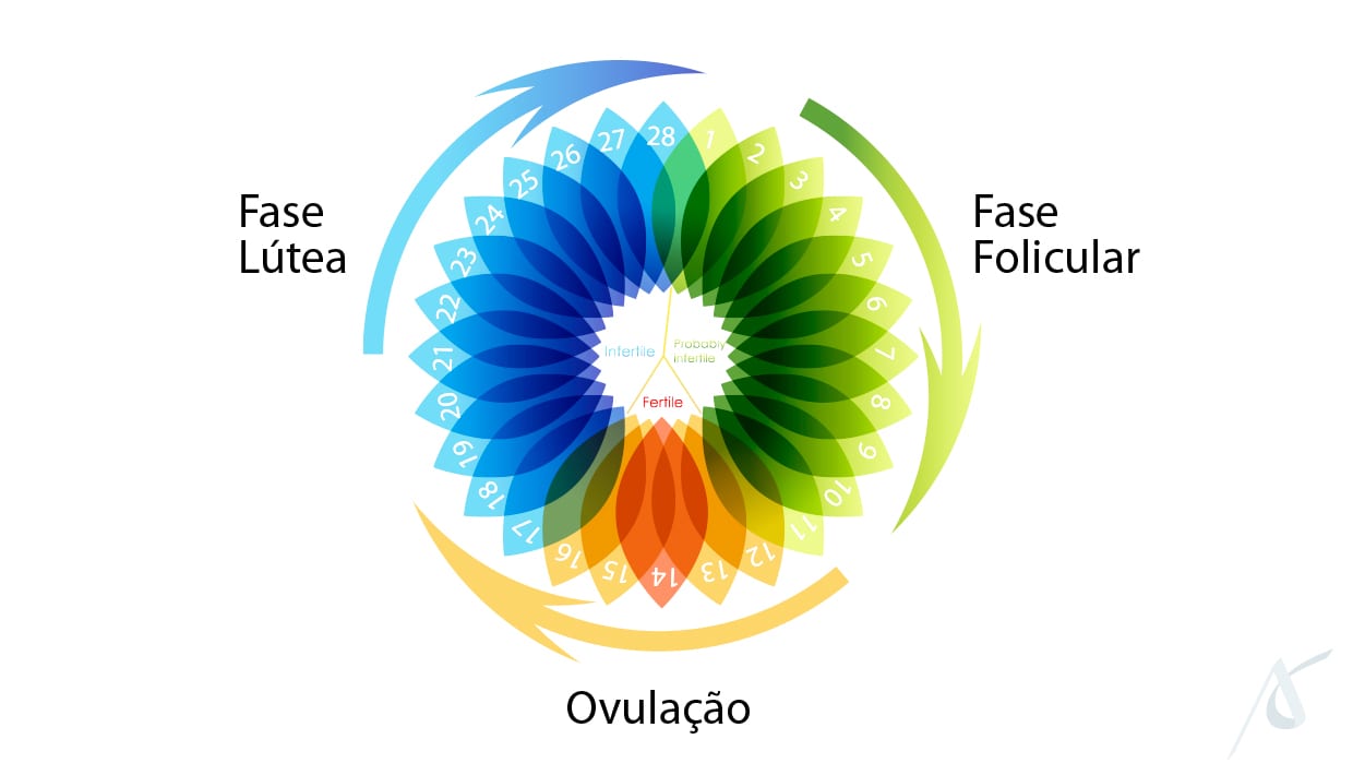 Como calcular o período fértil